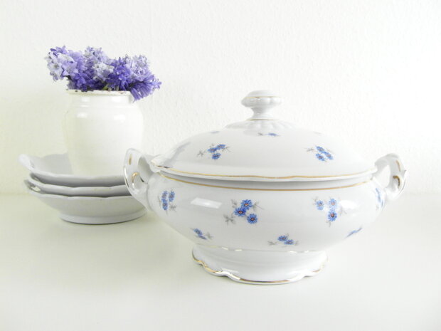 Dekschaal Korenbloem