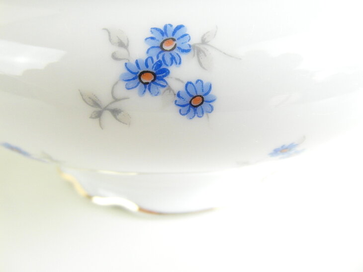 Dekschaal Korenbloem