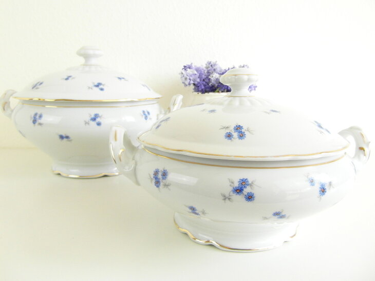 Dekschaal Korenbloem