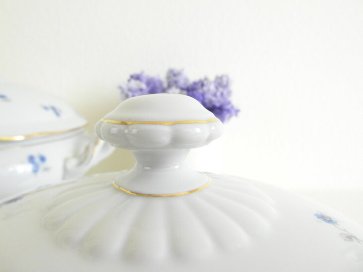 Dekschaal Korenbloem