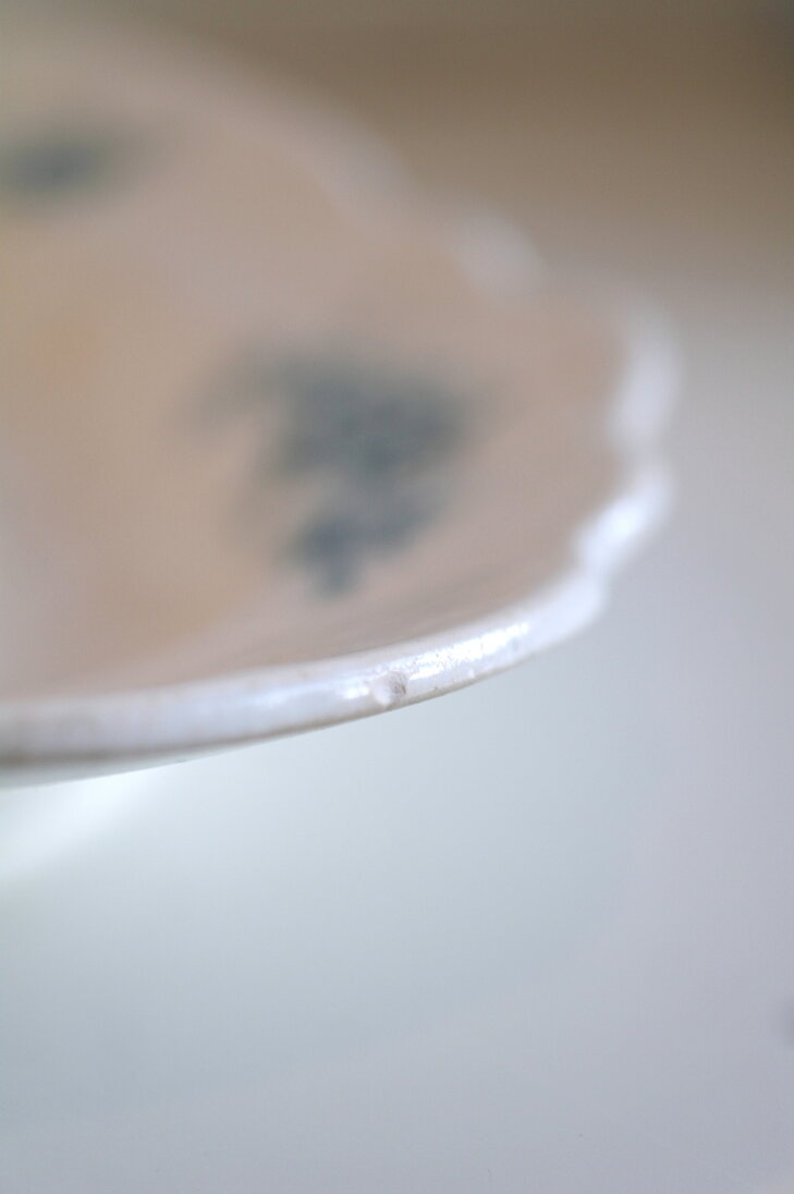 Serveerschaal Petrus Regout