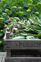 Bollenkist *Verkocht* 