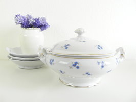 Dekschaal Korenbloem