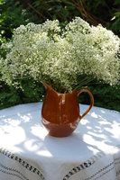 Royal Sphinx schenkkan 